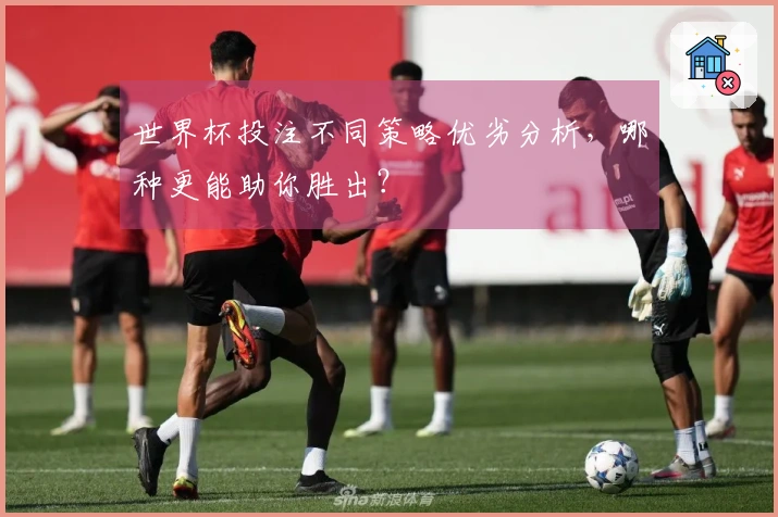 世界杯投注不同策略优劣分析，哪种更能助你胜出？