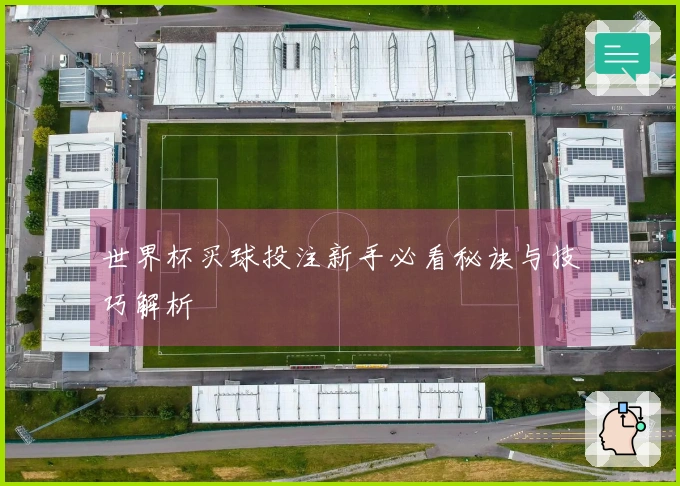 世界杯买球投注新手必看秘诀与技巧解析
