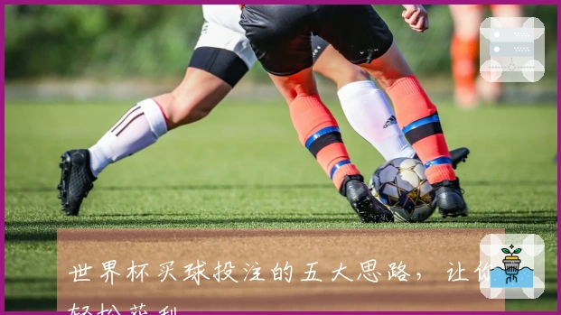 世界杯买球投注的五大思路，让你轻松获利