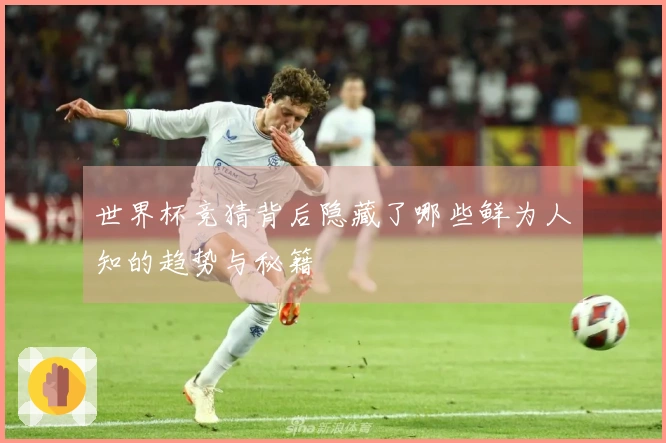 世界杯竞猜背后隐藏了哪些鲜为人知的趋势与秘籍