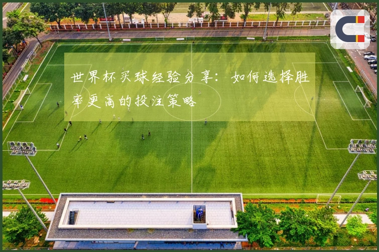 世界杯买球经验分享：如何选择胜率更高的投注策略